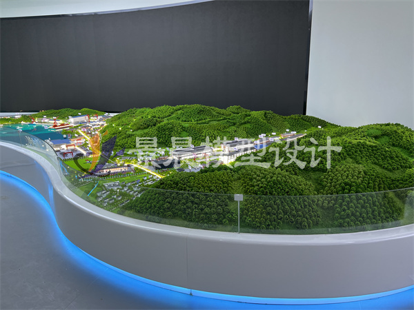 瑞昌鲸牛气电船制造